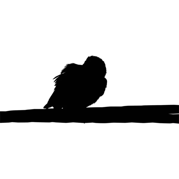 Silhouette Bird Perched Electrical Wire Base Photography Vector Illustration — Stock Vector