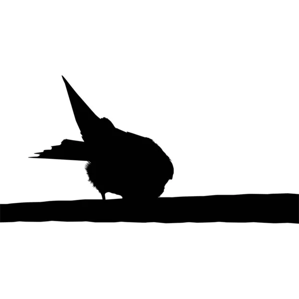 Sylwetka Ptaka Siedzącego Elektrycznej Bazie Przewodów Mojej Fotografii Ilustracja Wektora — Wektor stockowy