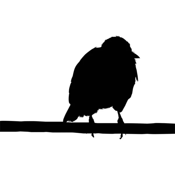 Silueta Ptáka Usazeného Elektrické Drátěné Základně Fotografii Vektorová Ilustrace — Stockový vektor