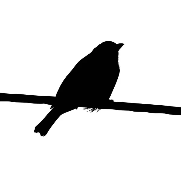 Die Silhouette Des Vogels Der Auf Dem Elektrischen Draht Auf — Stockvektor