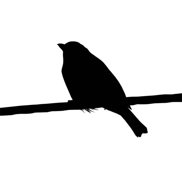 Силуэт Птицы Сидящей Электропроводной Базе Моей Фотографии Векторная Миграция — стоковый вектор
