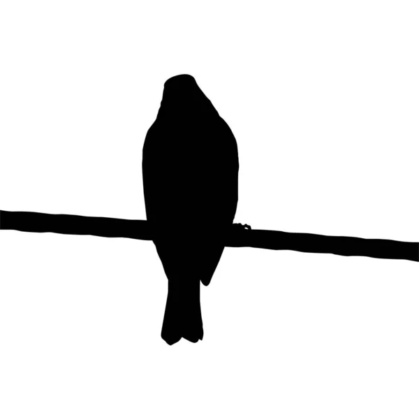 Silueta Ptáka Usazeného Elektrické Drátěné Základně Fotografii Vektorová Ilustrace — Stockový vektor