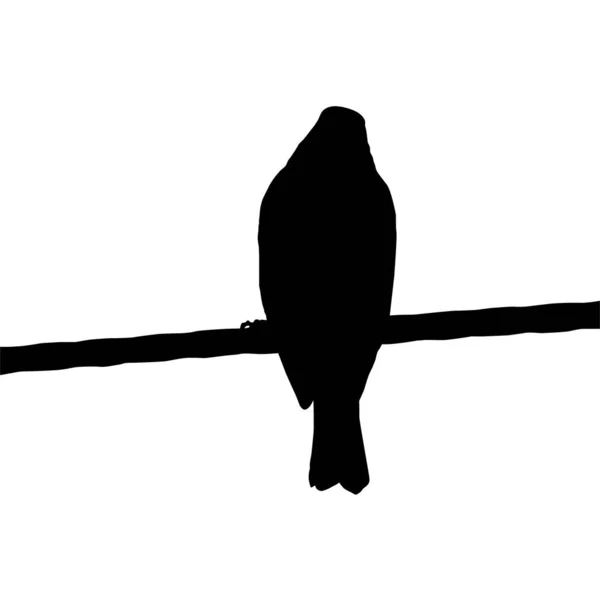 Силуэт Птицы Сидящей Электропроводной Базе Моей Фотографии Векторная Миграция — стоковый вектор
