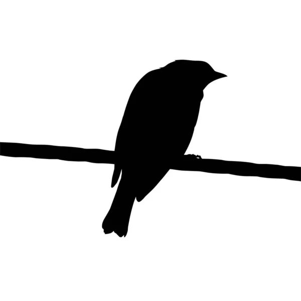 根据我的摄影 停在电线上的鸟的轮廓 病媒图解 — 图库矢量图片