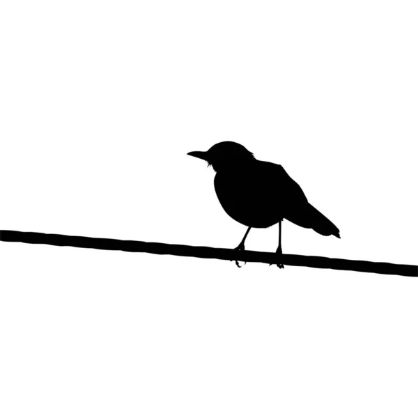 Silhouette Oiseau Perché Sur Base Fil Électrique Sur Photographie Illustration — Image vectorielle