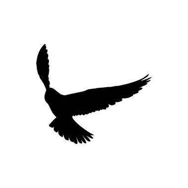 Logo, Pictogram, Web Sitesi, Sanat Resimleri veya Grafik Tasarım Elementi için Uçan Yırtıcı Kuş, Şahin veya Şahin 'in Silueti. Vektör İllüstrasyonu 