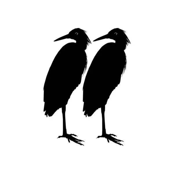 芸術イラスト ピクトグラム ウェブサイト グラフィックデザイン要素のための黒いサギシルエットとしても知られている黒いサギ鳥 Egretta Ardesaca のペア ベクターイラスト — ストックベクタ