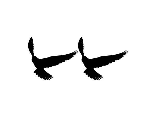 Silhouette Flying Pair Bird Prey Falcon Hawk Logo Pictogram Website — 스톡 벡터