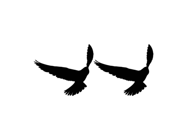 Silhouette Des Fliegenden Greifvogelpaares Falke Oder Falke Für Logo Piktogramm — Stockvektor