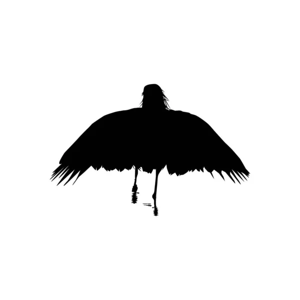 Black Heron Bird Egretta Ardesiaca Známý Také Jako Black Egret — Stockový vektor