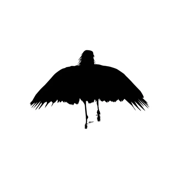 Black Heron Bird Egretta Ardesiaca Známý Také Jako Black Egret — Stockový vektor