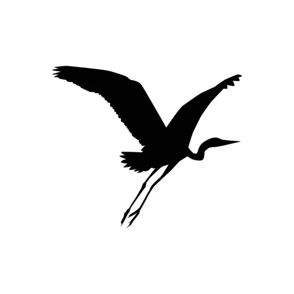 Black Heron Bird Egretta Ardesiaca Noto Anche Come Black Egret — Vettoriale Stock