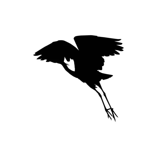 Black Heron Bird Egretta Ardesiaca Também Conhecida Como Black Egret — Vetor de Stock