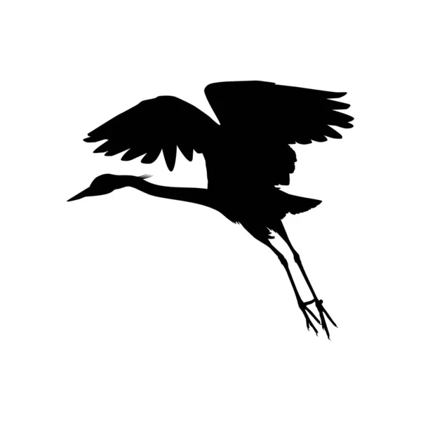Black Heron Bird Egretta Ardesiaca Also Known Black Egret Silhouette — Stock Vector