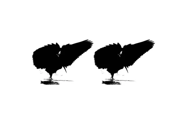 Kara Balıkçıl Kuşu Egretta Ardesiaca Kara Akbalıkçılgiller Egret Silueti Familyasından — Stok Vektör