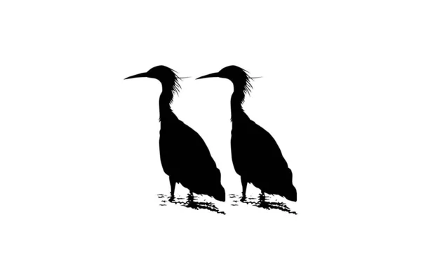 Pair Black Heron Bird Egretta Ardesiaca Also Known Black Egret — Stock Vector