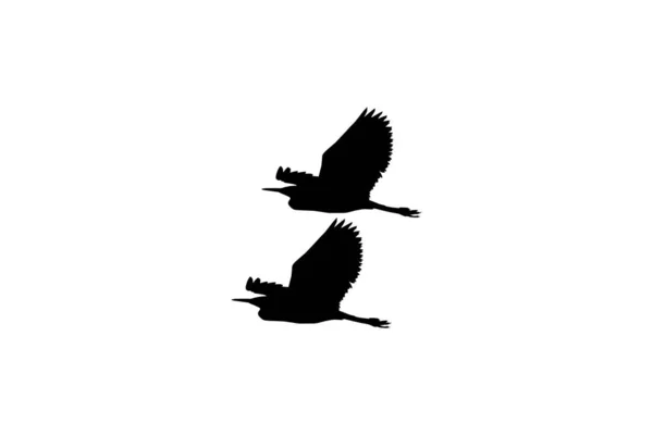 芸術イラスト ピクトグラム ウェブサイト グラフィックデザイン要素のための黒いサギシルエットとしても知られている黒いサギ鳥 Egretta Ardesaca のペア ベクターイラスト — ストックベクタ