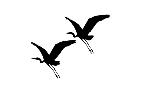 Pair Black Heron Bird Egretta Ardesiaca Також Відомий Black Egret — стоковий вектор