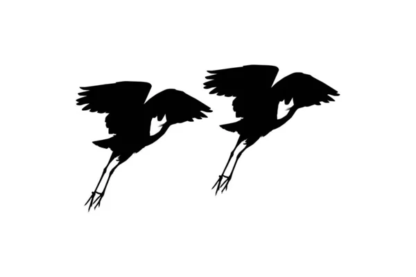 Paire Black Heron Bird Egretta Ardesiaca Également Connue Sous Nom — Image vectorielle
