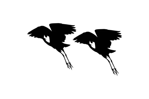 Een Paar Van Black Heron Bird Egretta Ardesiaca Ook Bekend — Stockvector