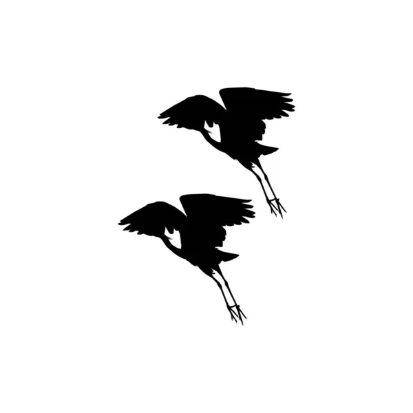 Par Black Heron Bird Egretta Ardesiaca Även Känd Som Black — Stock vektor