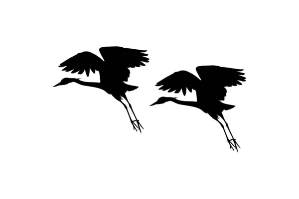 Coppia Uccelli Airone Nero Egretta Ardesiaca Conosciuta Anche Come Black — Vettoriale Stock