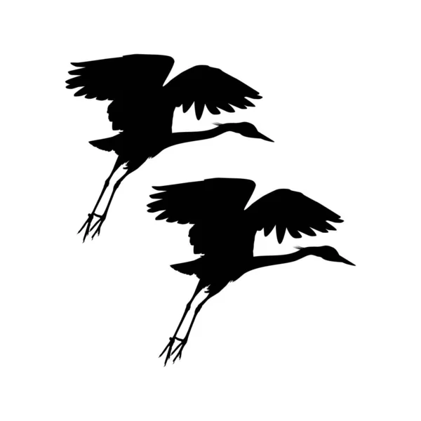 Coppia Uccelli Airone Nero Egretta Ardesiaca Conosciuta Anche Come Black — Vettoriale Stock