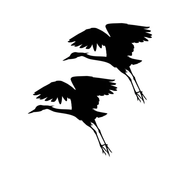 Par Pássaro Garça Negra Egretta Ardesiaca Também Conhecido Como Silhueta — Vetor de Stock