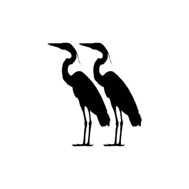 Kara Balıkçıl Kuşu (