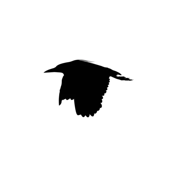 Black Heron Bird Egretta Ardesiaca Más Néven Black Egret Silhouette — Stock Vector