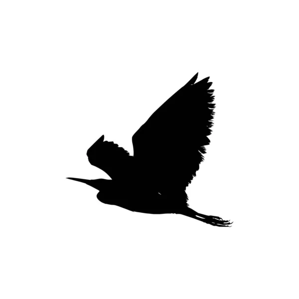 Garza Negra Egretta Ardesiaca También Conocida Como Silueta Garza Negra — Archivo Imágenes Vectoriales