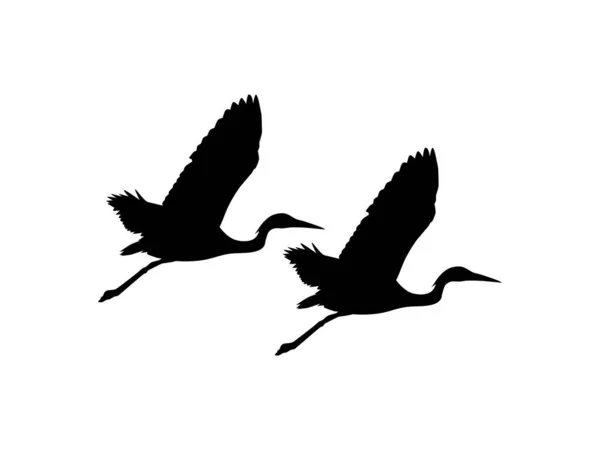 Par Pássaro Garça Negra Egretta Ardesiaca Também Conhecido Como Silhueta —  Vetores de Stock