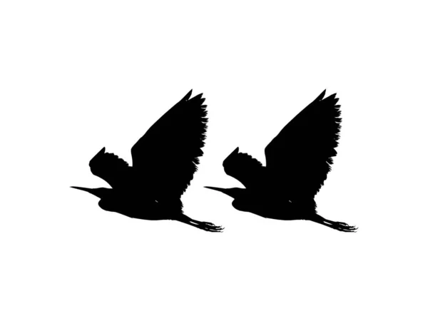 Kara Balıkçıl Kuşu Egretta Ardesiaca Kara Akbalıkçılgiller Egret Silueti Familyasından — Stok Vektör