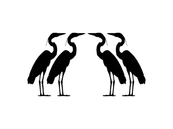 Flock Black Heron Bird Egretta Ardesiaca Também Conhecida Como Silhueta —  Vetores de Stock