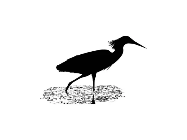 アートイラスト ピクトグラム ウェブサイト グラフィックデザイン要素のための黒いサギシルエット Black Egret Silhouette Egretta Ardesaca としても知られています — ストックベクタ