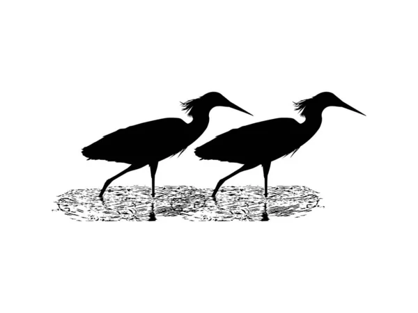 Pair Black Heron Bird Egretta Ardesiaca Black Egret Silhouette Art — 스톡 벡터