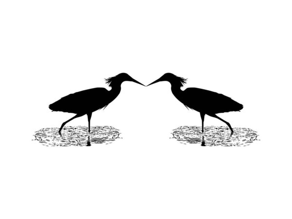 Pair of The Black Heron Bird (Egretta Ardesiaca), also known as the Black Egret Silhouette for Art Illustration, Logo, Pictogram, Website, or Graphic Design Element. Vector Illustration