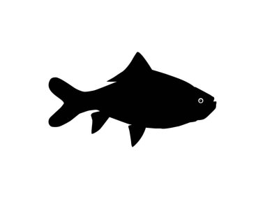 Catla ya da Katla Fish, büyük Güney Asya Sazanı, Simge, Sembol, Logo Tipi, Pictogram, Apps, Web Sitesi ya da Grafik Tasarım Elemanı olarak da bilinir. Vektör İllüstrasyonu