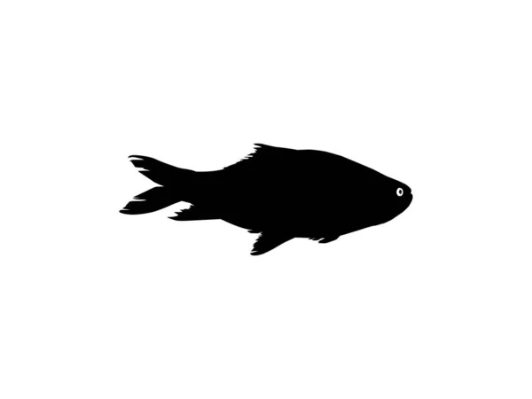 Catla Katla Fish Büyük Güney Asya Sazanı Simge Sembol Logo — Stok Vektör