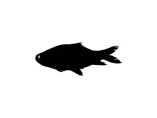 Catla Vagy Katla Fish Más Néven Dél Ázsiai Ponty Sziluett — Stock Vector