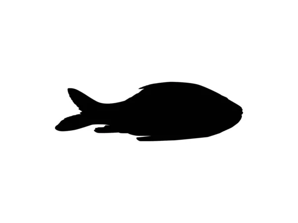 主要な南アジアの鯉 アイコン シンボル ロゴタイプ ピクトグラム アプリ ウェブサイトやグラフィックデザイン要素のためのシルエットとして知られているカトラやカトラ魚 ベクターイラスト — ストックベクタ