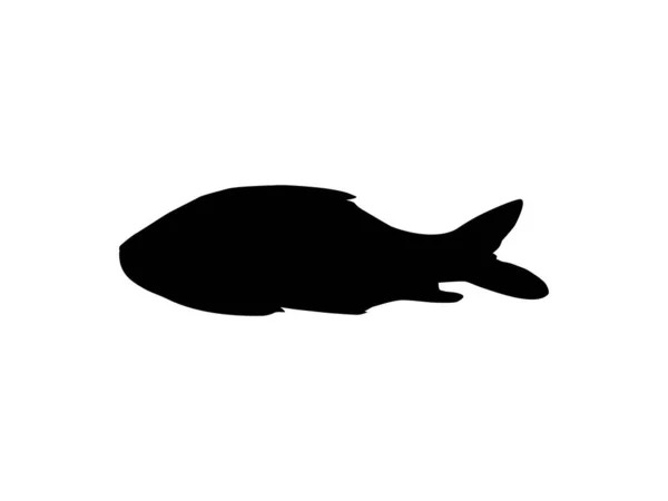 主要な南アジアの鯉 アイコン シンボル ロゴタイプ ピクトグラム アプリ ウェブサイトやグラフィックデザイン要素のためのシルエットとして知られているカトラやカトラ魚 ベクターイラスト — ストックベクタ