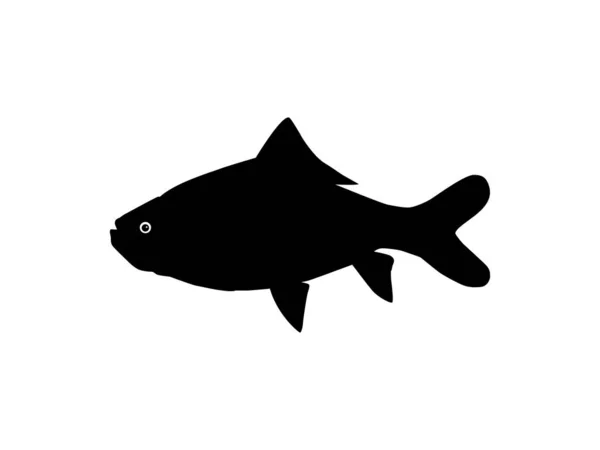 Catla Katla Fish Also Known Major South Asian Carp Silhouette — Stock Vector