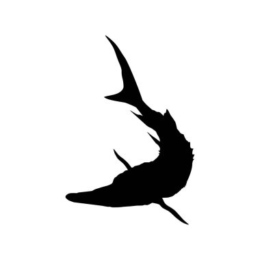 Beluga Sturgeon ya da Huso Fish Silhouette, Primium ve Pahalı Havyar Üreten Balık, Logo Tipi için, Sanat Illustration, Pictogram, Apps, Web Sitesi veya Grafik Tasarım Elemanı. Vektör İllüstrasyonu