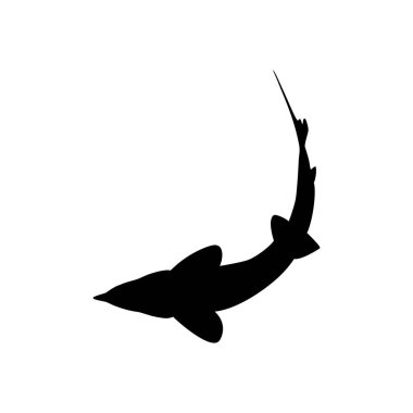 Beluga Sturgeon ya da Huso Fish Silhouette, Primium ve Pahalı Havyar Üreten Balık, Logo Tipi için, Sanat Illustration, Pictogram, Apps, Web Sitesi veya Grafik Tasarım Elemanı. Vektör İllüstrasyonu