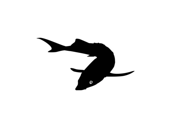 ロゴタイプ アートイラスト ピクトグラム アプリ ウェブサイトやグラフィックデザイン要素のためのプレミアムかつ高価なキャビアを生成するBeluga Sturgeonまたはフソ魚シルエット ベクターイラスト — ストックベクタ