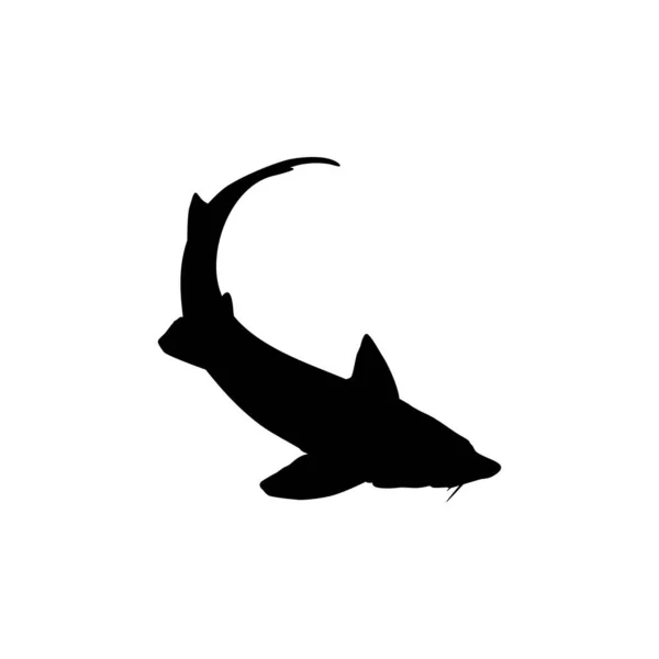 ロゴタイプ アートイラスト ピクトグラム アプリ ウェブサイトやグラフィックデザイン要素のためのプレミアムかつ高価なキャビアを生成するBeluga Sturgeonまたはフソ魚シルエット ベクターイラスト — ストックベクタ