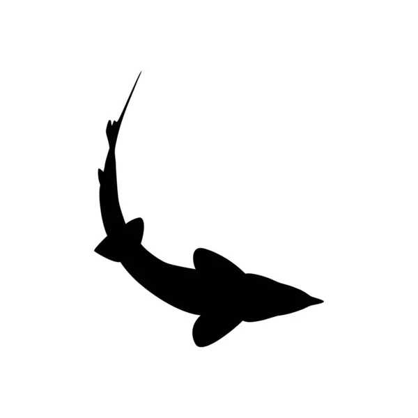 Beluga Sturgeon Huso Ψάρια Silhouette Ψάρια Που Παράγουν Premium Και — Διανυσματικό Αρχείο