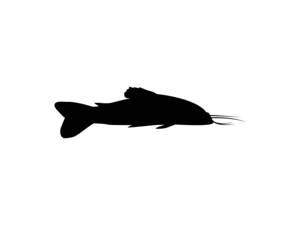 魚のシルエットKwi KwiまたはTamuata Atipa Hassa Cascadu Cascadura Busco CurritoまたはHoplosternum Littoraleは カリシディウス科の装甲ナマズの一種である — ストックベクタ