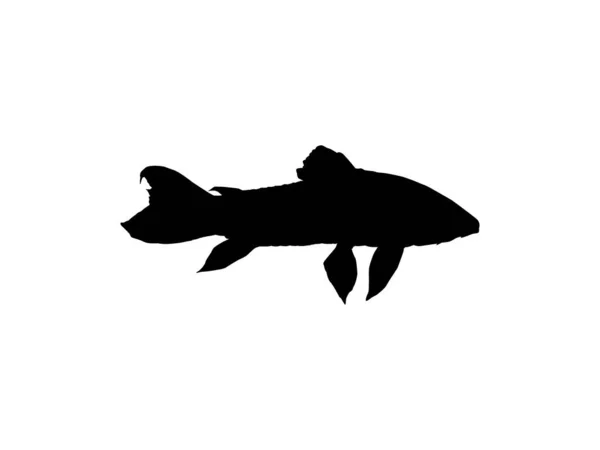 魚のシルエットKwi KwiまたはTamuata Atipa Hassa Cascadu Cascadura Busco CurritoまたはHoplosternum Littoraleは カリシディウス科の装甲ナマズの一種である — ストックベクタ